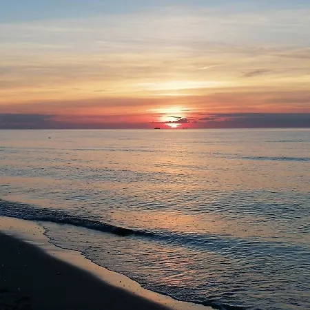 Ostseetraum Igelring *